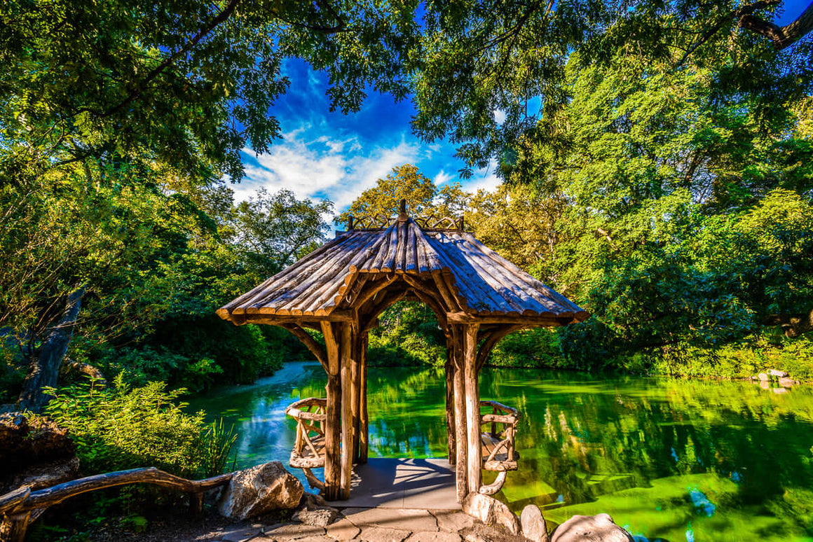 Open Edition Collection