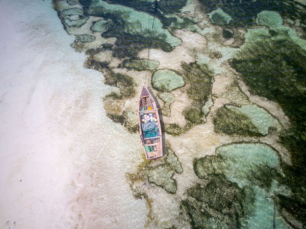 Boat in Zanzibar Tanzania