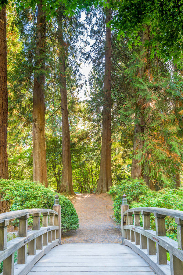 Wooden bridge in Portland Japanese garden