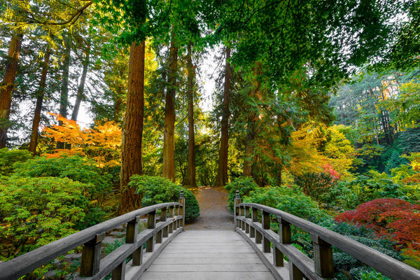 Portland Oregon Japanese Garden