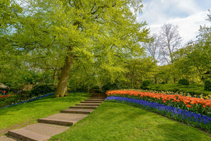Garden in Holland