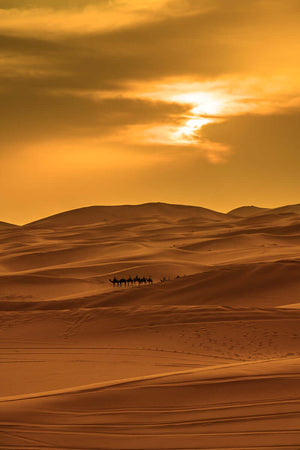 Sunset at Sahara Desert, Merzouga Morocco