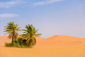 Sahara Desert, Merzouga Morocco